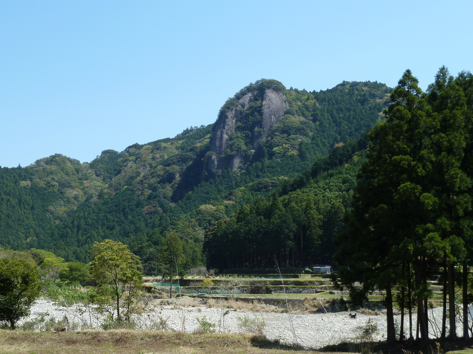 P1060636_mid.jpg