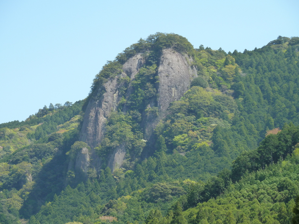P1060637_mid.jpg