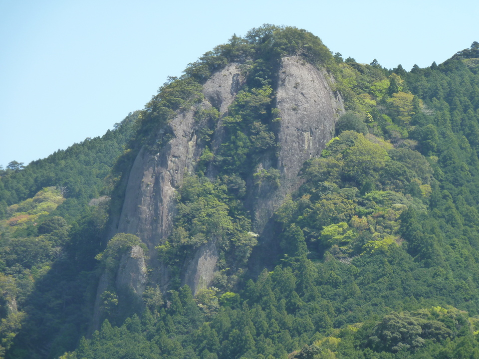 P1060640_mid.jpg
