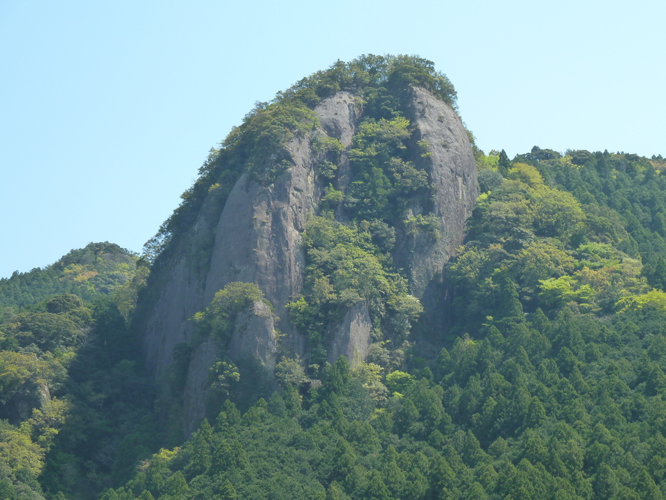 P1060643_mid.jpg