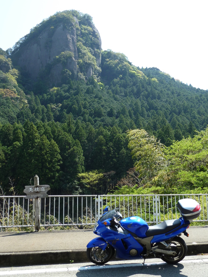 P1060645_mid.jpg