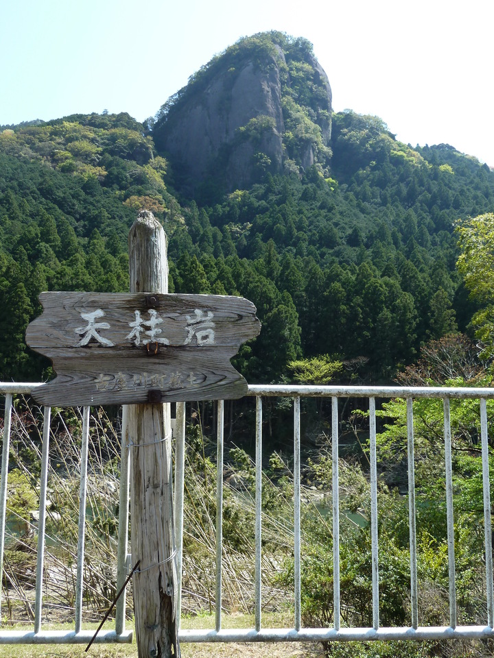 P1060647_mid.jpg