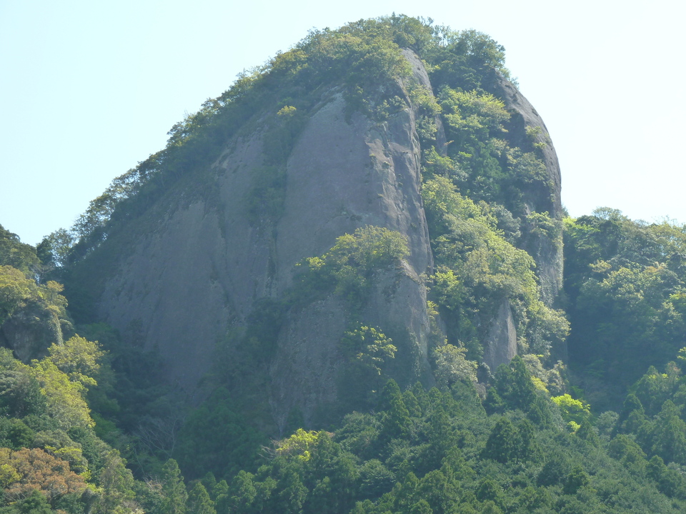 P1060649_mid.jpg