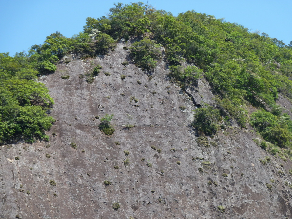 P1060657_mid.jpg
