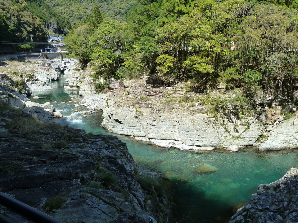 P1060669_mid.jpg