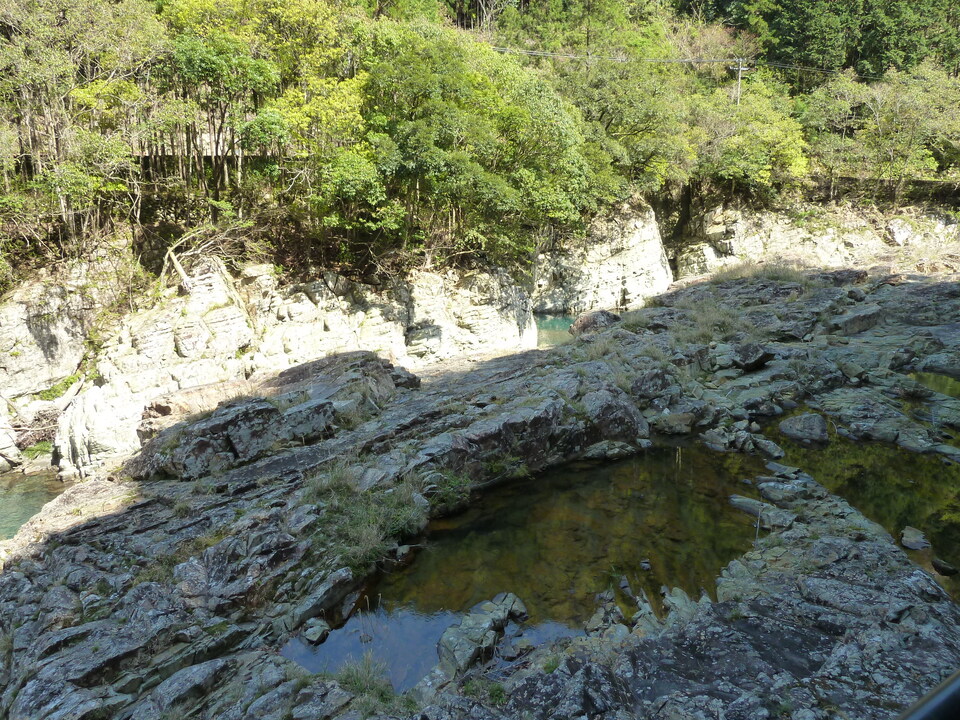 P1060670_mid.jpg