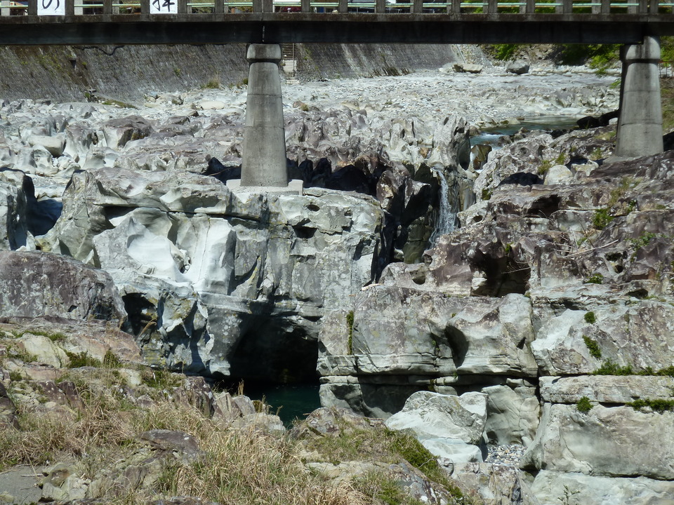 P1060674_mid.jpg