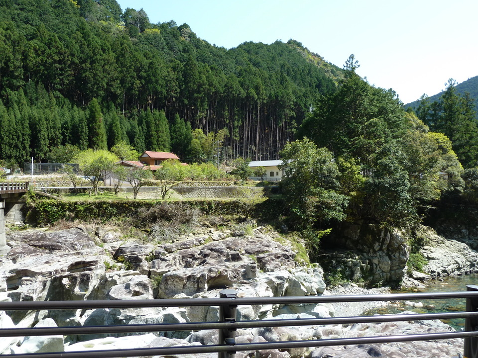 P1060678_mid.jpg