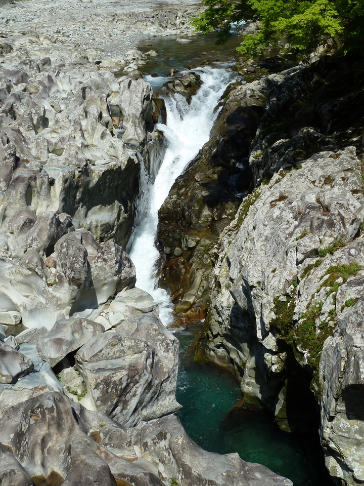 P1060688_mid.jpg