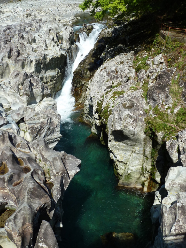 P1060689_mid.jpg