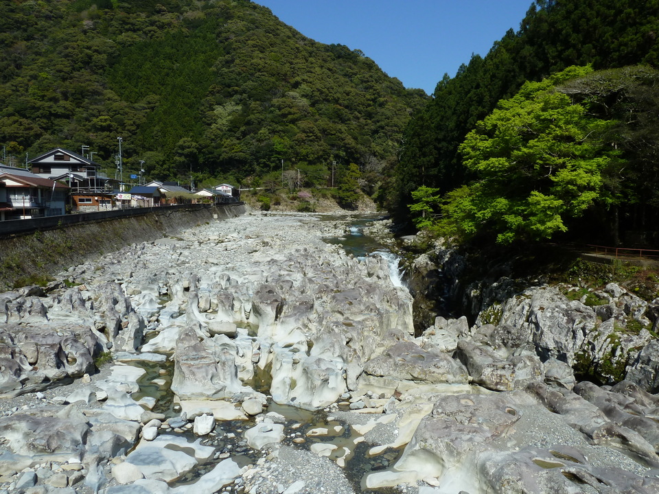P1060698_mid.jpg