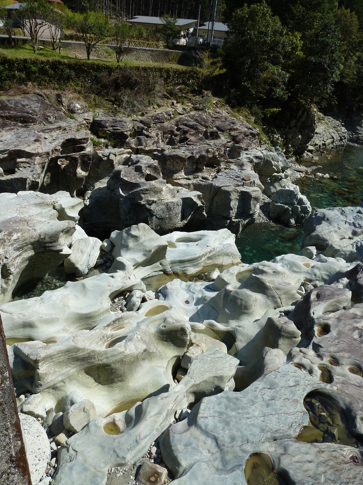 P1060700_mid.jpg