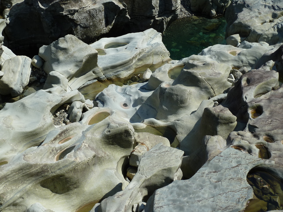 P1060701_mid.jpg