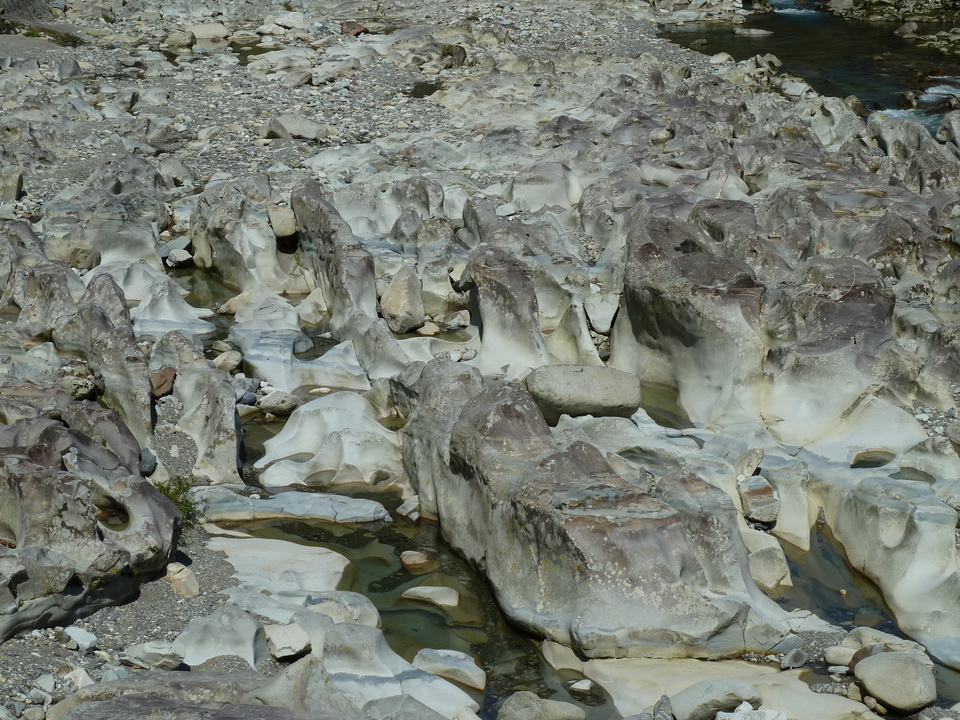 P1060702_mid.jpg