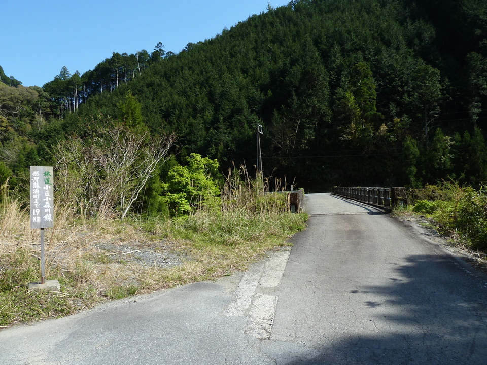 P1060704_mid.jpg