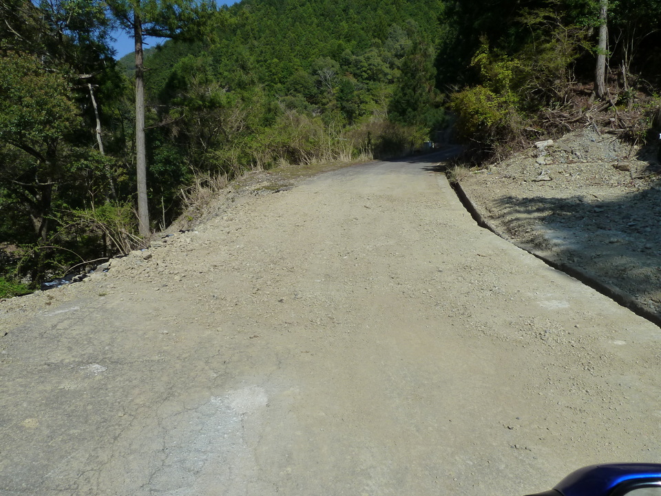P1060706_mid.jpg
