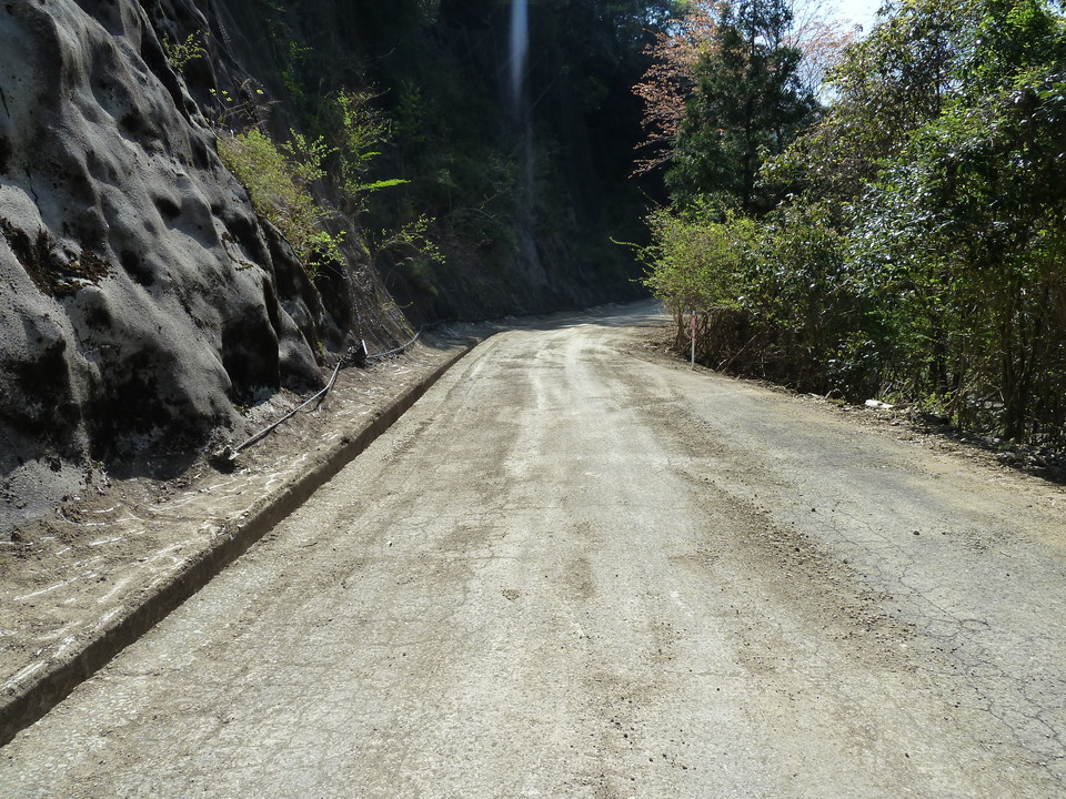 P1060708_mid.jpg