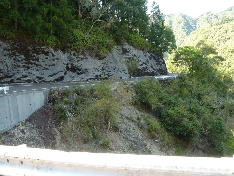 P1060711_mid.jpg
