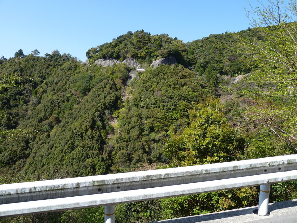 P1060713_mid.jpg