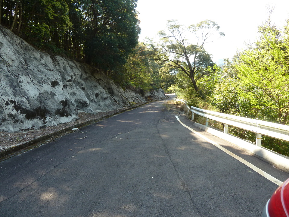 P1060715_mid.jpg