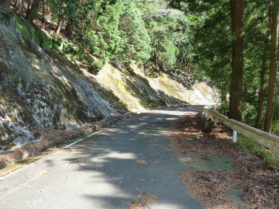 P1060717_mid.jpg