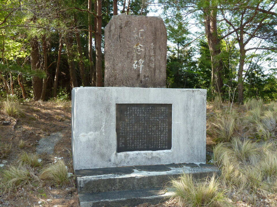P1060721_mid.jpg
