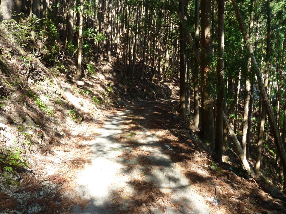 P1060727_mid.jpg