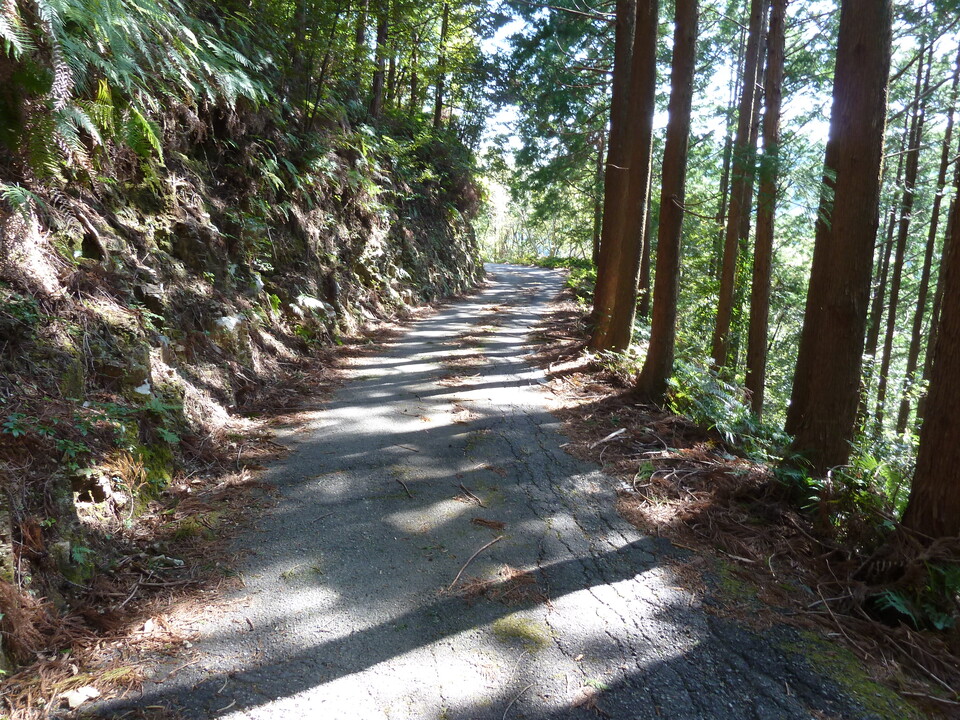 P1060729_mid.jpg