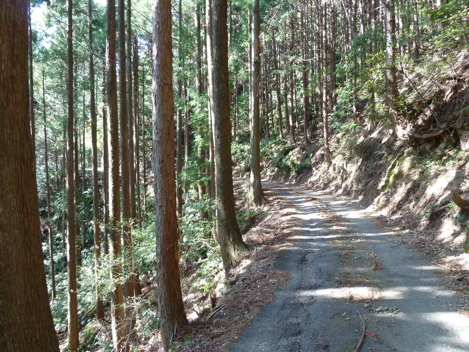 P1060730_mid.jpg
