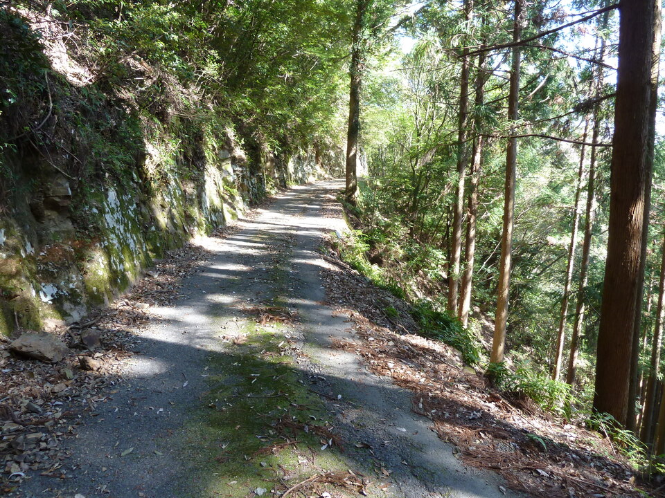P1060731_mid.jpg