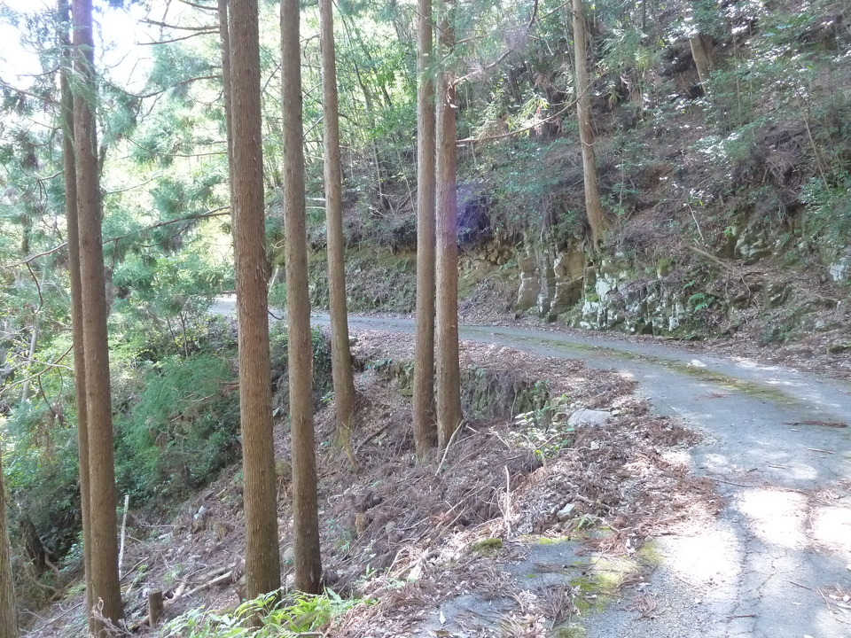P1060732_mid.jpg
