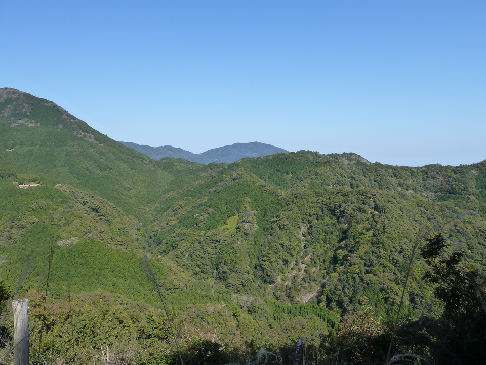 P1060735_mid.jpg
