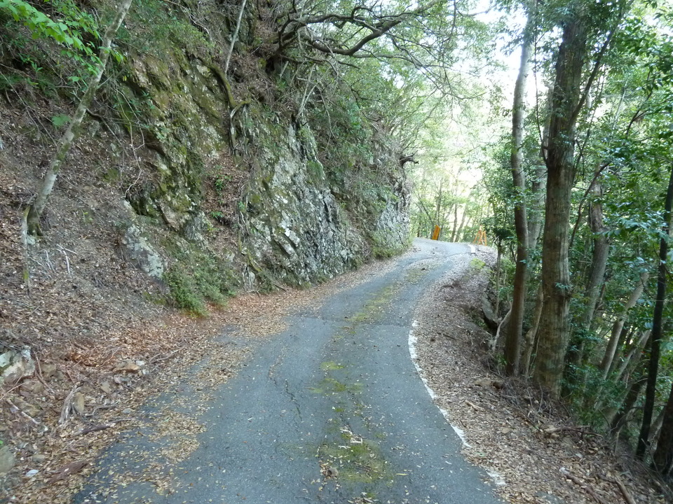 P1060738_mid.jpg
