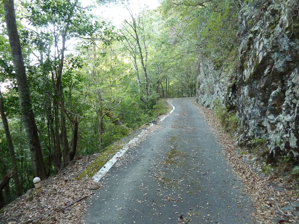 P1060739_mid.jpg