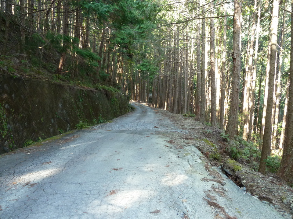 P1060741_mid.jpg