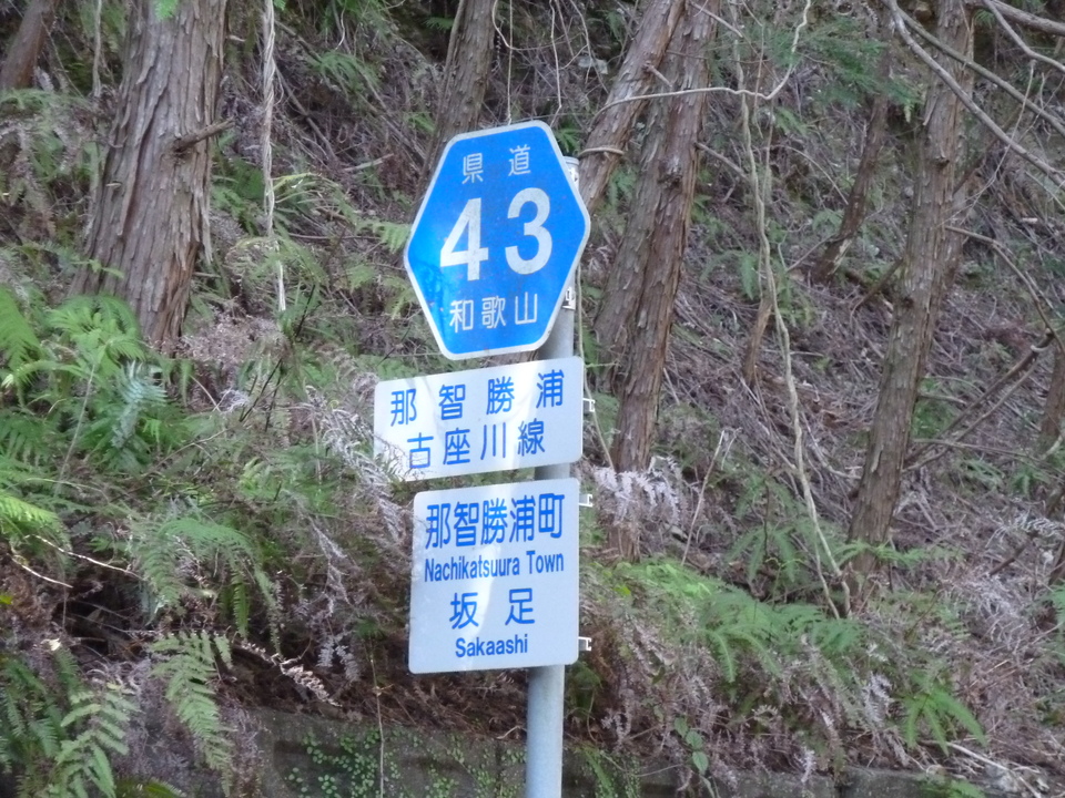 P1060745_mid.jpg