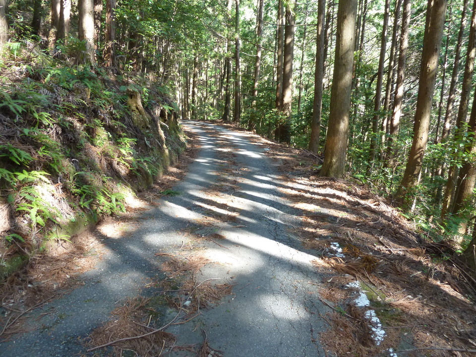 P1060746_mid.jpg