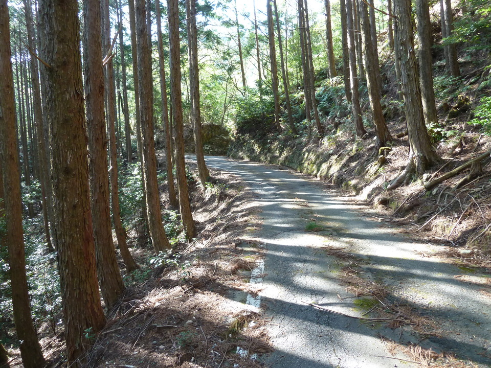 P1060748_mid.jpg