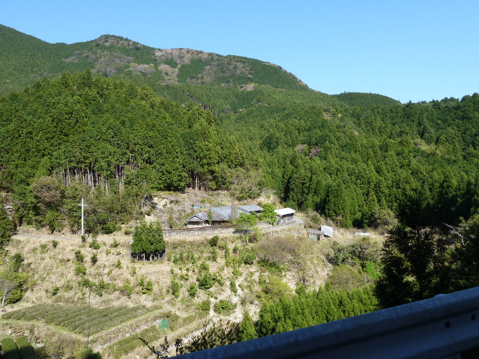 P1060753_mid.jpg