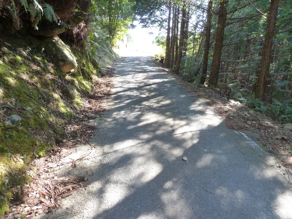 P1060757_mid.jpg