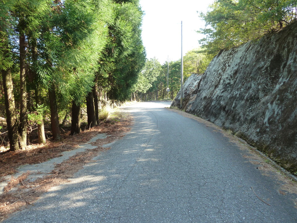 P1060765_mid.jpg
