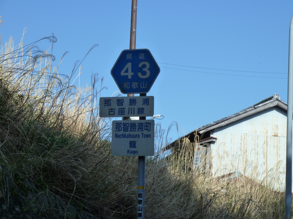 P1060767_mid.jpg