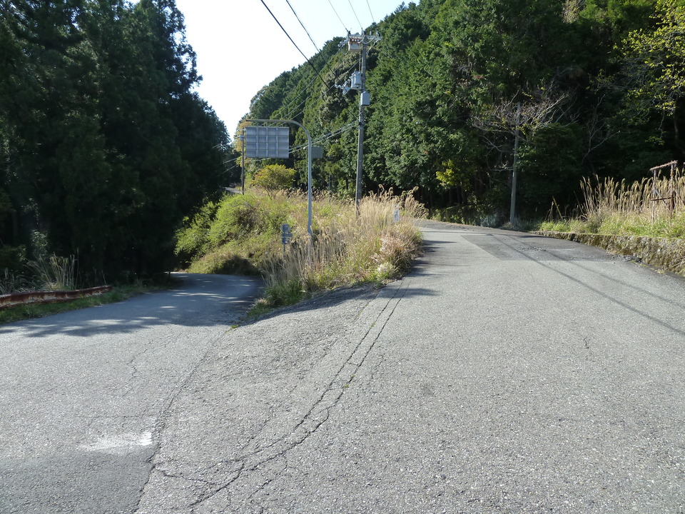 P1060770_mid.jpg