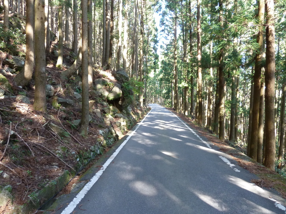 P1060772_mid.jpg