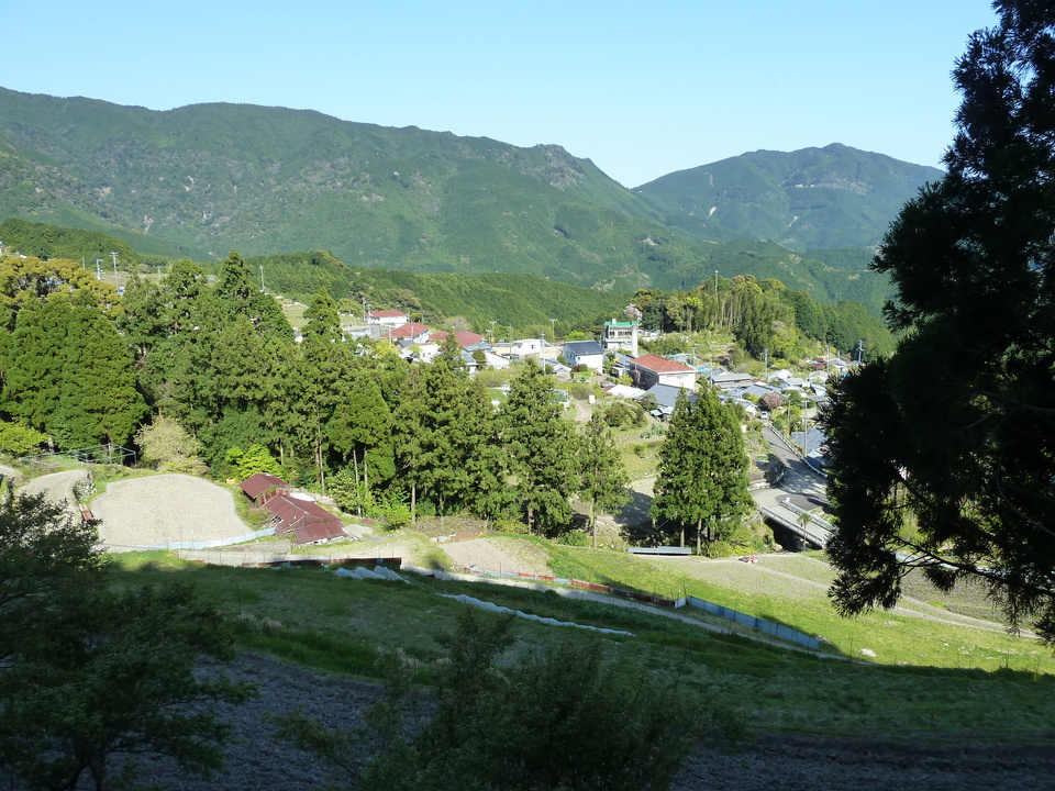 P1060775_mid.jpg