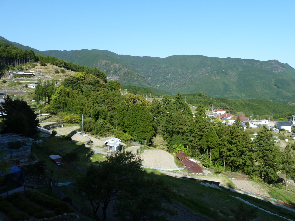 P1060777_mid.jpg