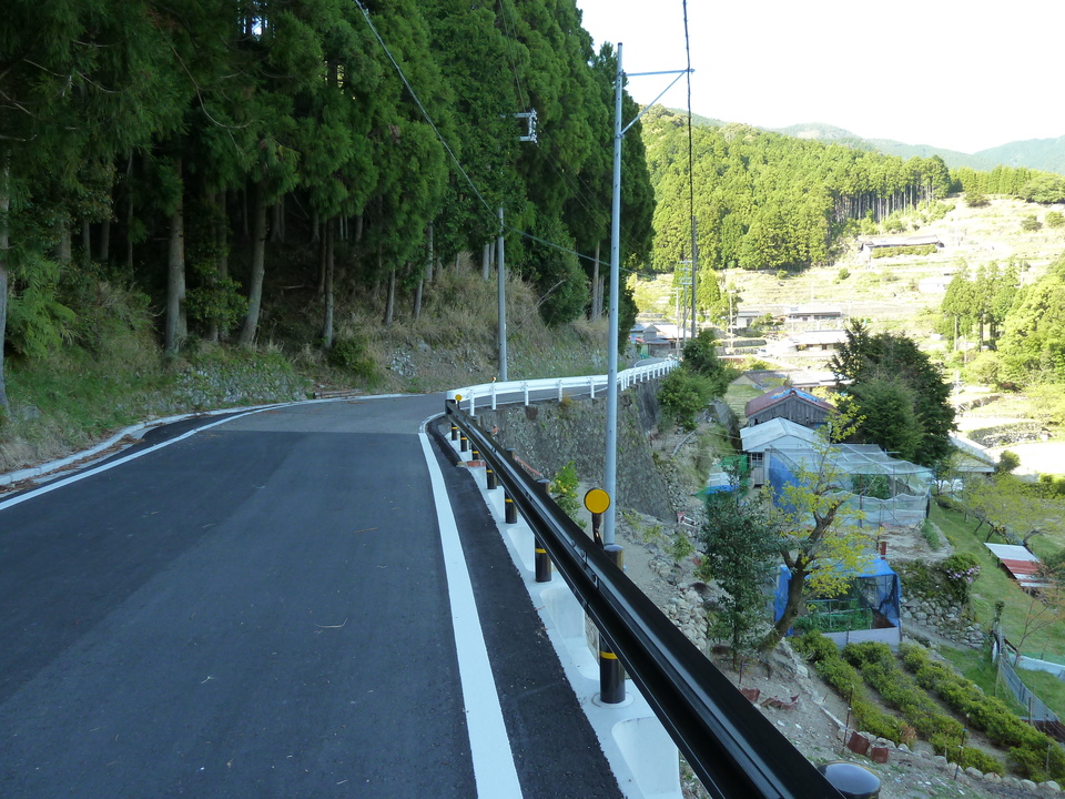 P1060778_mid.jpg