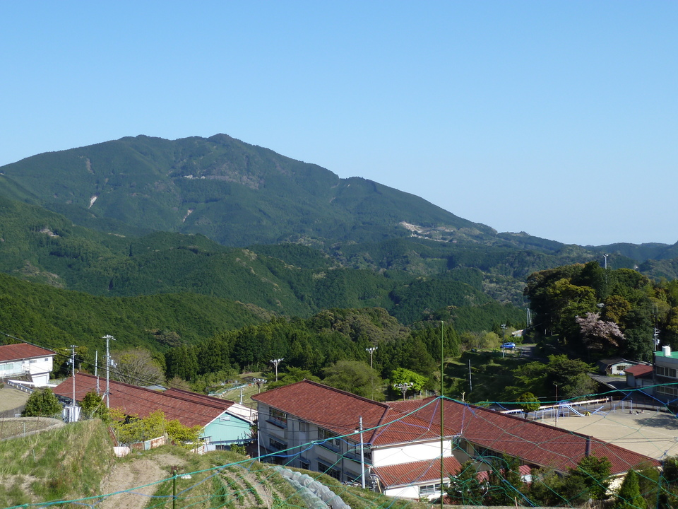P1060780_mid.jpg