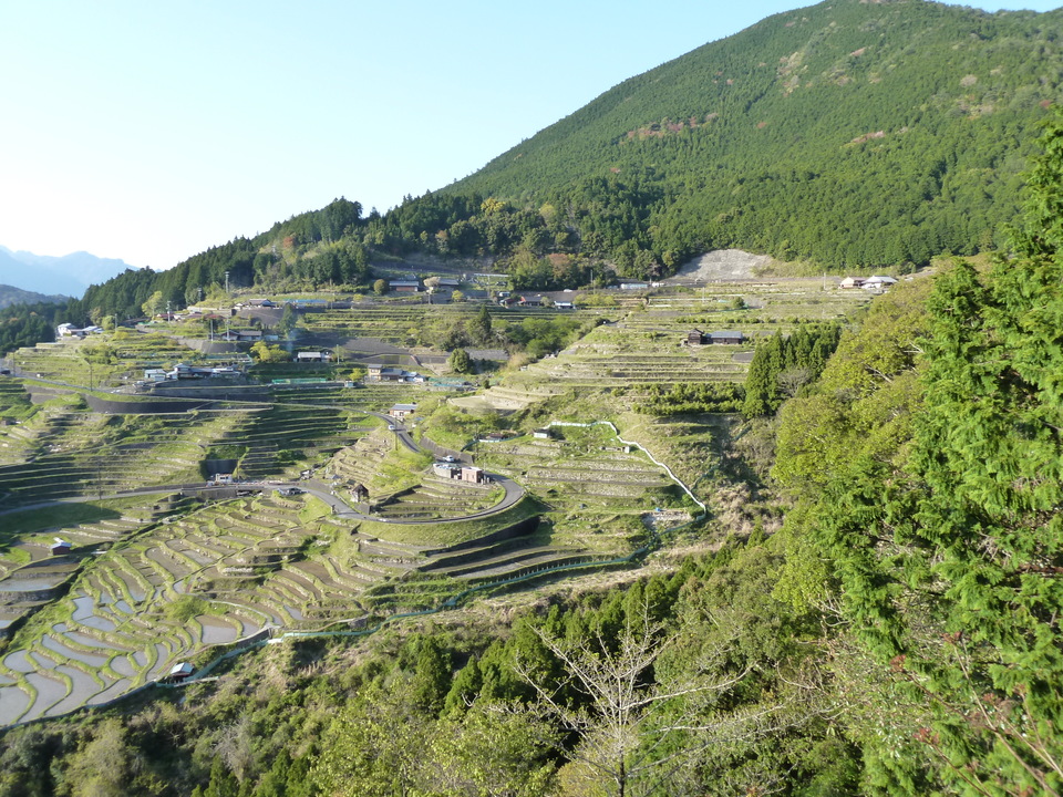 P1060807_mid.jpg