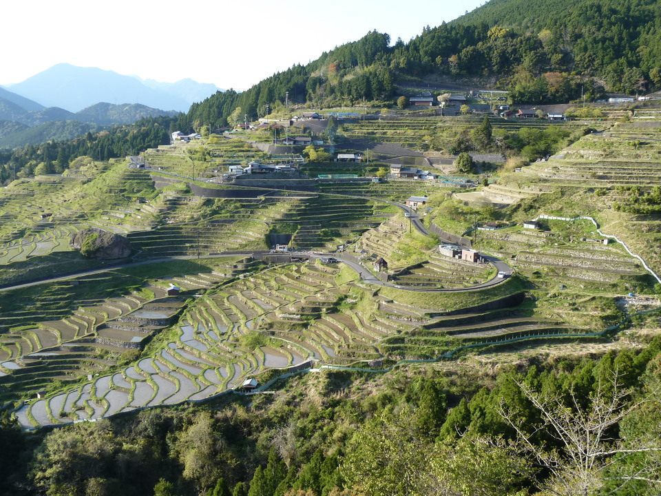 P1060808_mid.jpg